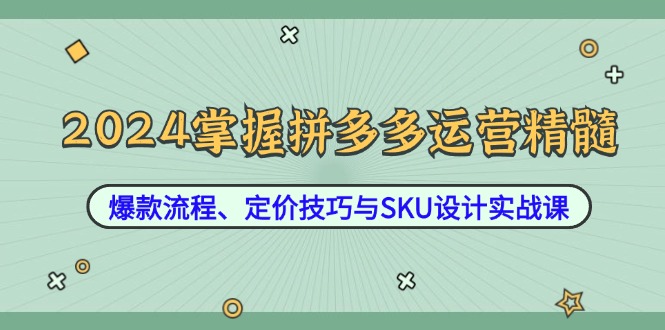（12703期）2024掌握拼多多运营精髓：爆款流程、定价技巧与SKU设计实战课-就去找资源网