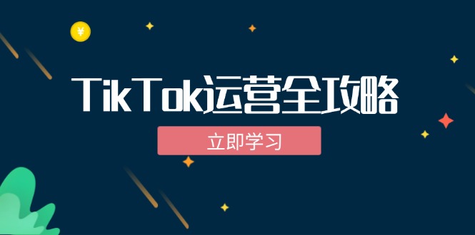 （12739期）TikTok实战运营全攻略：从下载软件到变现，抖音海外版实操教程-就去找资源网