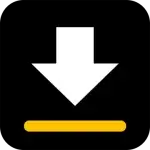 Video Downloader 视频下载器v2.2.9专业版-就去找资源网