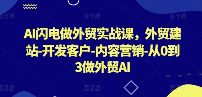 AI闪电做外贸实战课，外贸建站-开发客户-内容营销-从0到3做外贸AI（更新）-就去找资源网