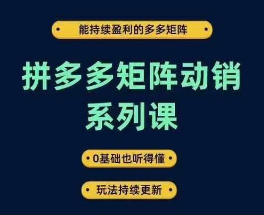 拼多多矩阵动销系列课,能持续盈利的多多矩阵,0基础也听得懂,玩法持续更新-就去找资源网