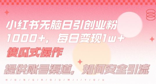 小红书无脑每日引流创业粉500+，小白每天只花半小时，躺赚长尾收益【揭秘】-就去找资源网
